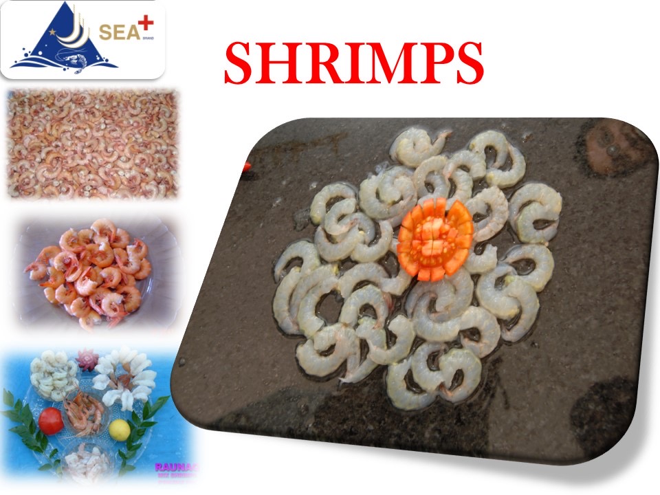Shrimps